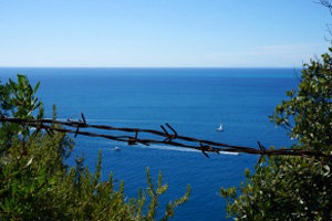 На Ибице туристка разбилась насмерть после предложения руки и сердца