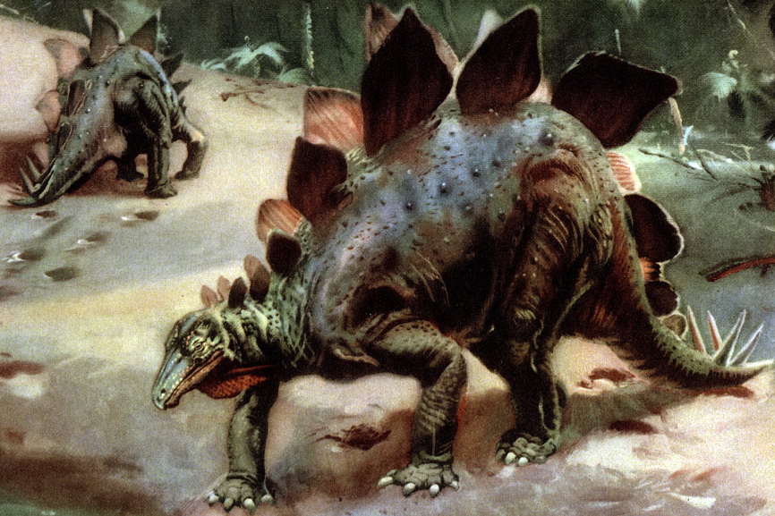 Назад в будущее. Древнего ящера распечатали на 3D-принтере Назад в будущее. Древнего ящера распечатали на 3D-принтере