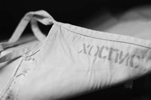 На Урале открывают первый государственный хоспис На Урале открывают первый государственный хоспис