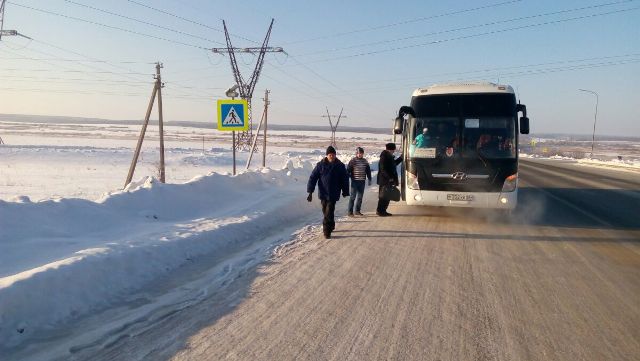 Инспекторы ДПС организовали помощь пассажирам междугороднего автобуса, который сломался на трассе