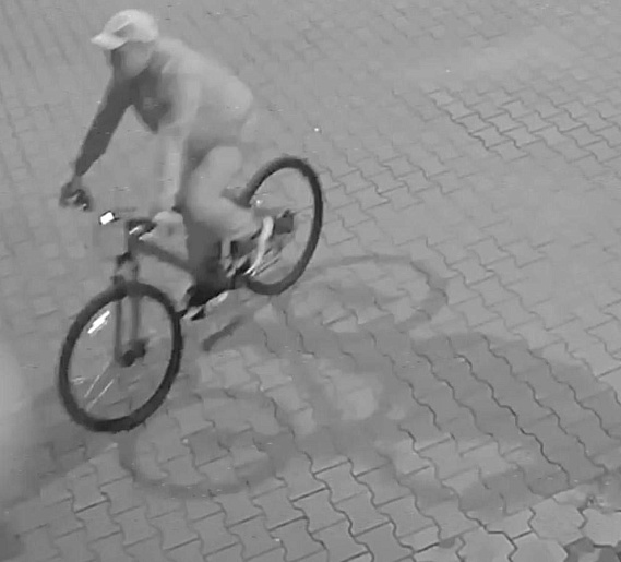 В Каменске-Уральском нашли телефон убитой 16-летней Даны 