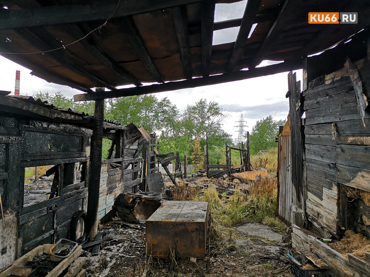 Многодетную семью погорельцев, которую спасла собака, неравнодушные люди завалили вещами