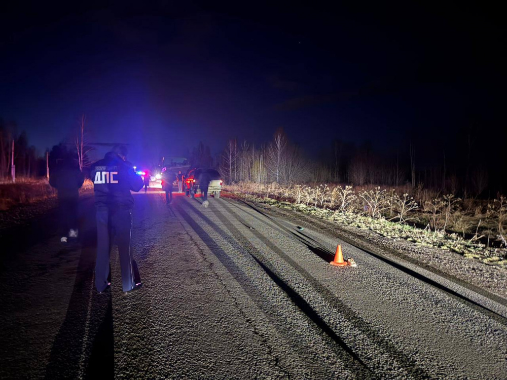 «Škoda Rapid» насмерть сбила мужчину на Урале и уехала | На Урале «Škoda Rapid» задавила мужчину и скрылась