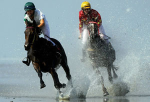 Несмотря на проливной дождь, конно-спортивный праздник в Каменске-Уральском состоялся Несмотря на проливной дождь, конно-спортивный праздник в Каменске-Уральском состоялся