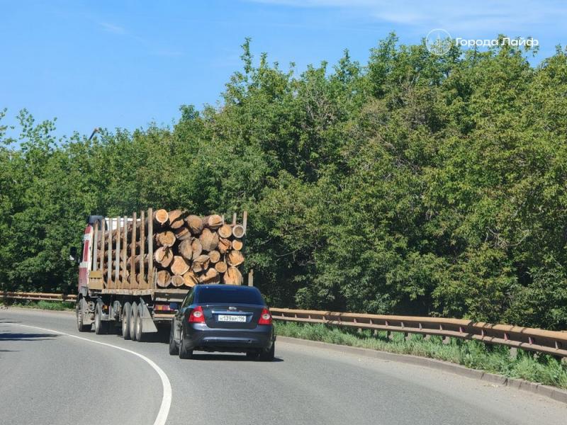 В Свердловской области проверили лесоматериалы и экспорт подкарантинной продукции | Россельхознадзор проверил лесоматериалы и экспортные поставки Свердловской области В Свердловской области проверили лесоматериалы и экспорт подкарантинной продукции | Россельхознадзор проверил лесоматериалы и экспортные поставки Свердловской области
