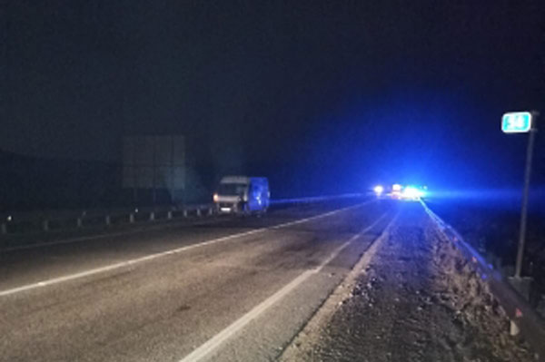 Под Екатеринбургом трое детей пострадали при наезде автомобиля на лося