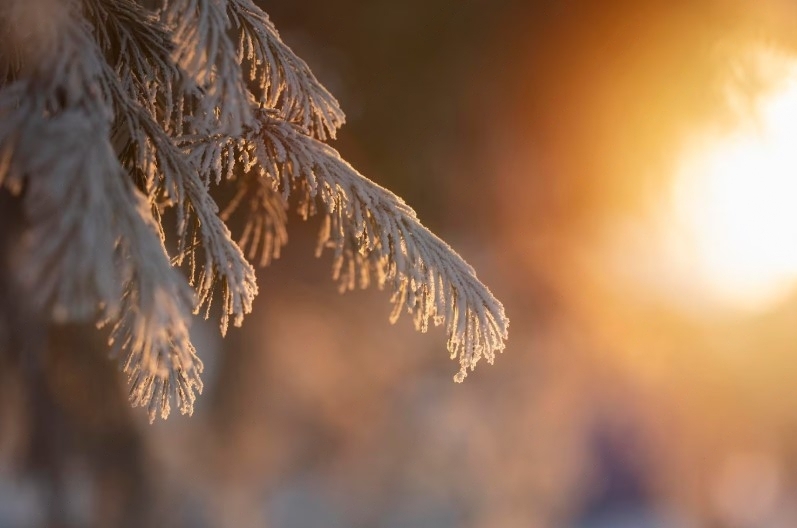 В Свердловской области пройдёт очередной холодный фронт  | По Уралу проходит новый холодный фронт 