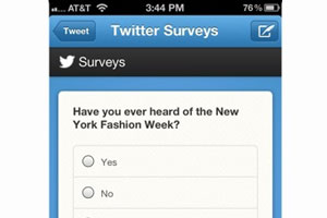 В Twitter появятся рекламные опросы В Twitter появятся рекламные опросы