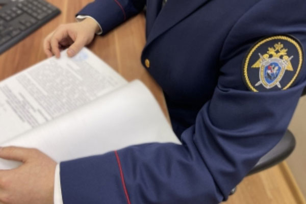 Голова была обуглена — новые подробности обнаружения на Урале женских останков  | Найденная под Серовом женская голова была обуглена 