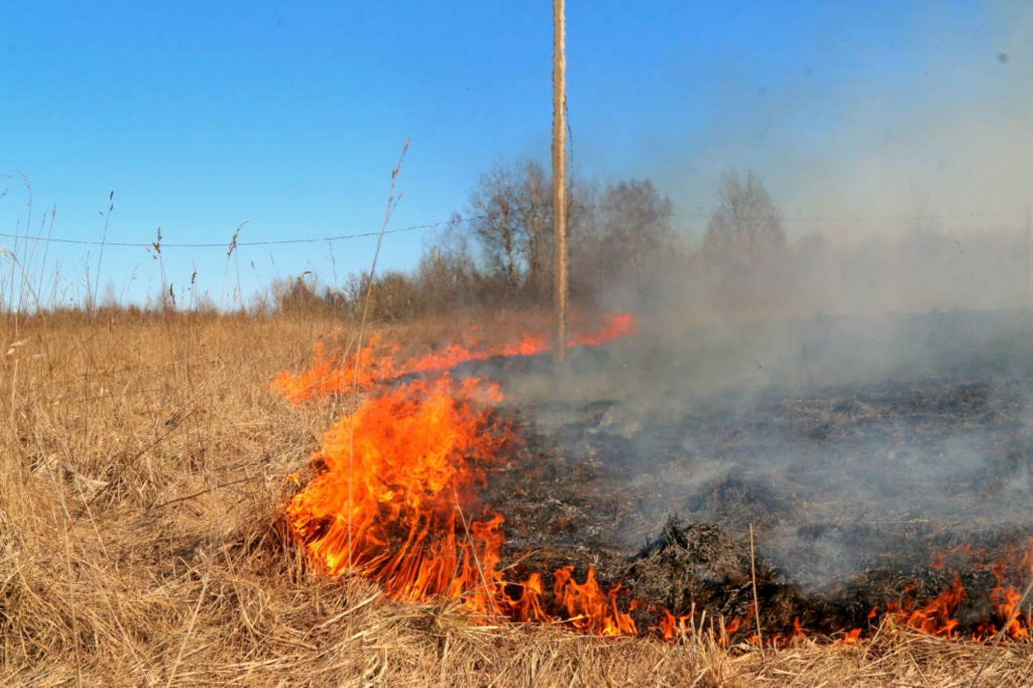 В Свердловской области ожидается высокая пожарная опасность и сильный ветер