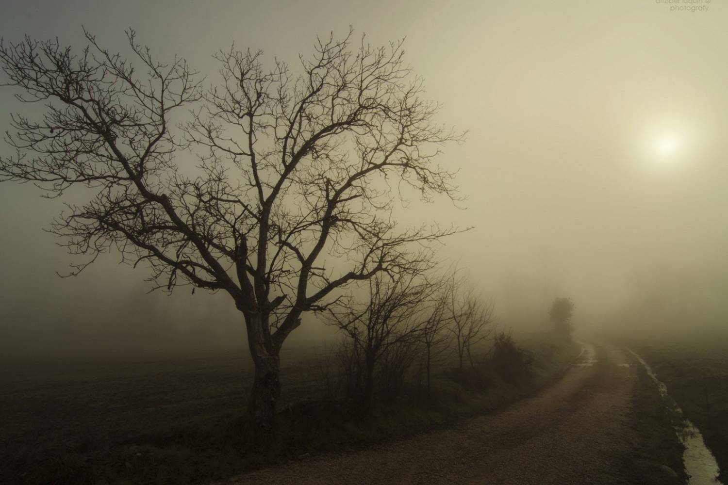 Внимание, водители! В Свердловской области ожидают сильные туманы