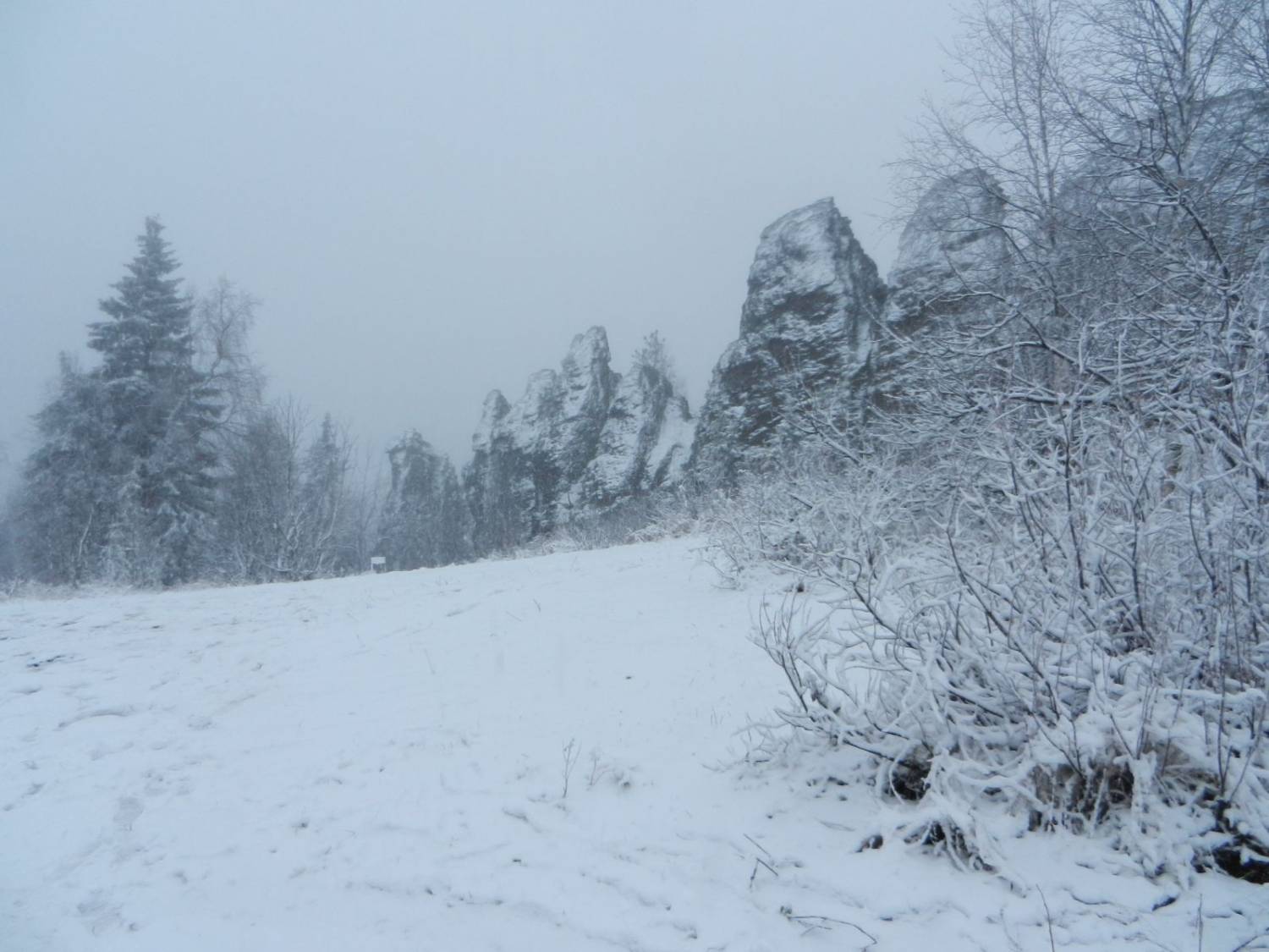 На Среднем Урале в выходные выпал первый снег