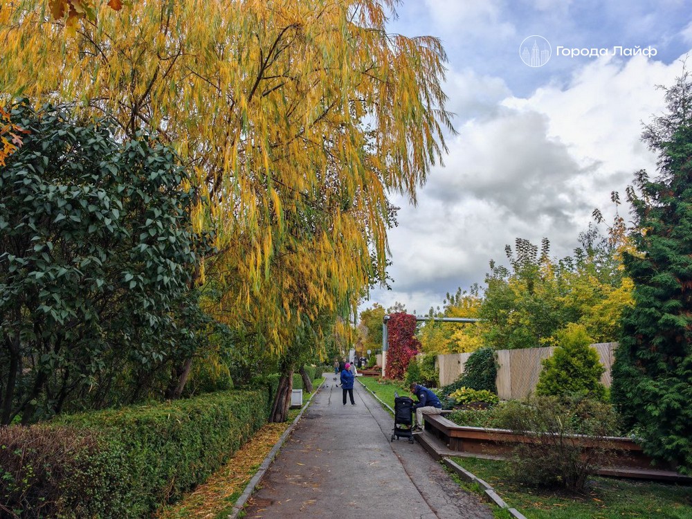 В Свердловской области начало недели будет без осадков  | Начало новой недели на Урале будет сухим 