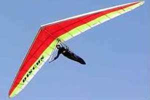 На Среднем Урале раскрыто убийство бизнесмена-дельтапланериста