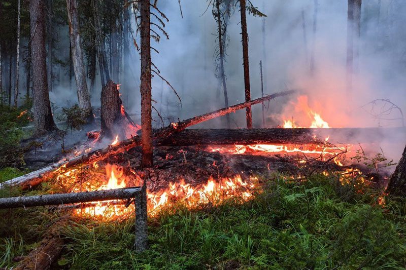 Площадь горения выросла вдвое! Тушить заповедник «Денежкин Камень» на Северный Урал прилетели 70 профессиональных пожарных из Абакана