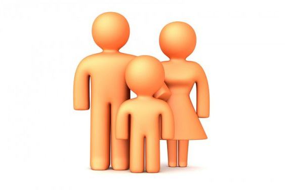 Дела семейные. Утверждена государственная концепция Дела семейные. Утверждена государственная концепция