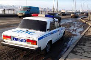 В Пермском крае легковушка упала в реку. Водитель и его пес - погибли