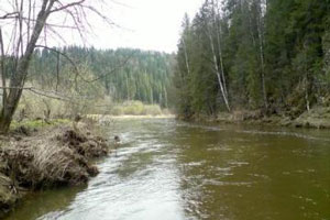 В Пермском крае утонула девочка