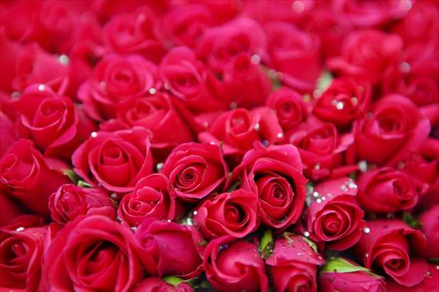 7 миллионов свежесрезанных цветов прибыло в Екатеринбург в преддверие 8 марта