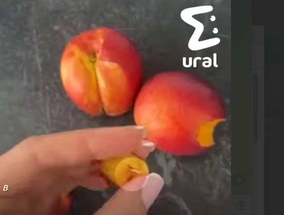 СМИ: жительница Екатеринбурга купила в ларьке на Победы персики с иголками  | Уральцев напугали слухами о персиках с иголками, купленных в ларьке