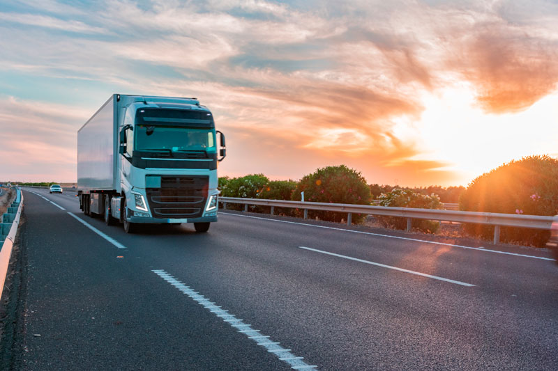 В Зауралье водители фур научились обходить весовой контроль | В Курганской области грузовики пустили через лес