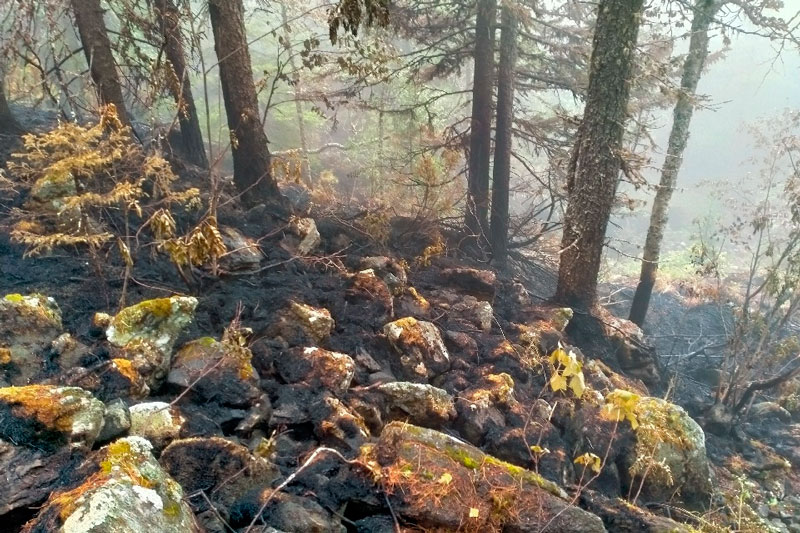 Осталось дотушить до полной ликвидации: пожар в уральском заповеднике «Денежкин Камень» взяли под контроль. Угроза миновала...
