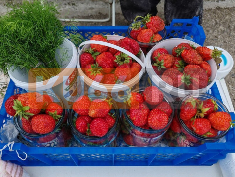 В Свердловскую область прибыла крупная партия турецкой клубники | На Урал доставили 10 тонн клубники из Турции 