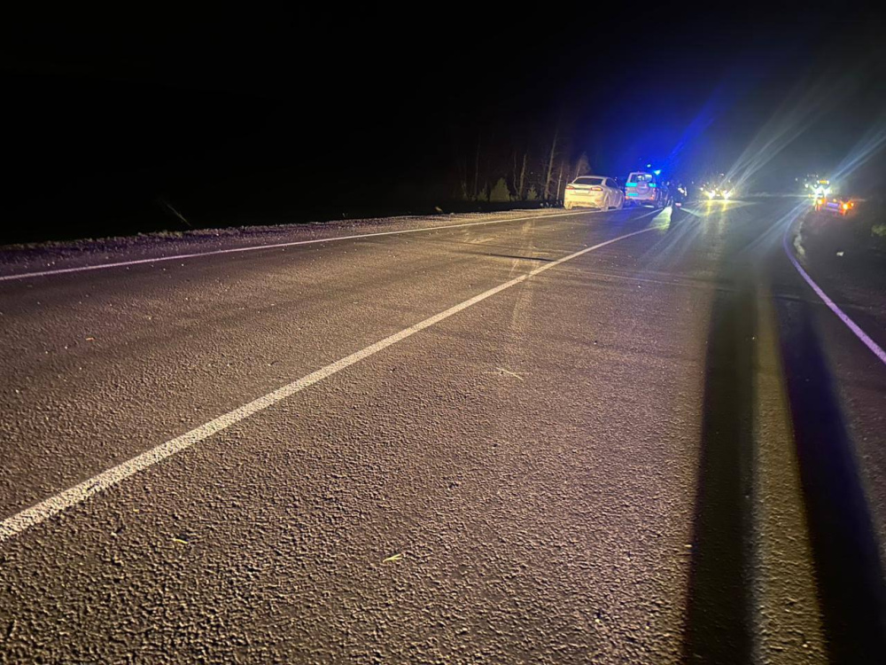 На Южном Урале на трассе опрокинулась машина, водитель погиб  | На трассе в Челябинской области погиб пожилой водитель 