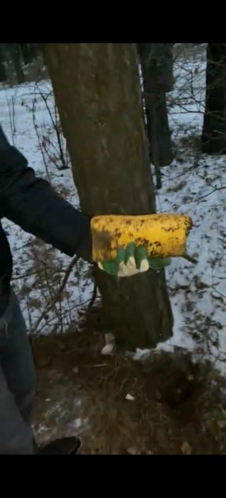 Свердловская полиция направила в суд дело наркодилеров, у которых было изъято 60 тысяч смертельных доз