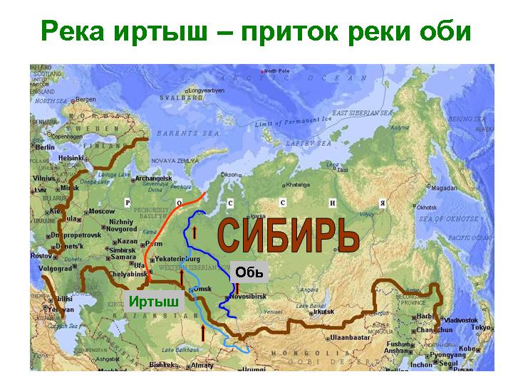 Управляющий теплоходом на реке Иртыш был пьян Управляющий теплоходом на реке Иртыш был пьян