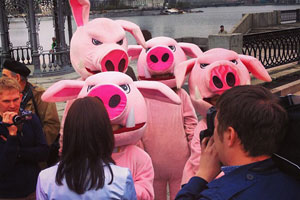 В Екатеринбурге сотрудники полиции пресекли незаконные действия членов движения «Хрюши против»