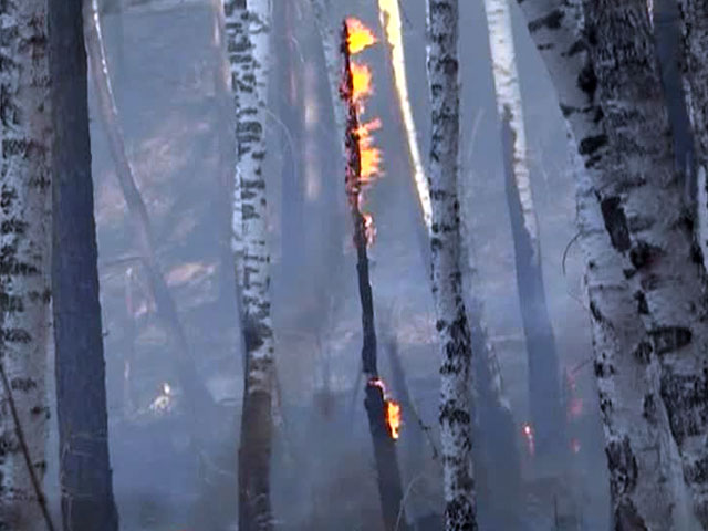 Лесные пожары атаковали Иркутскую область: некоторые поселки могут выгореть полностью