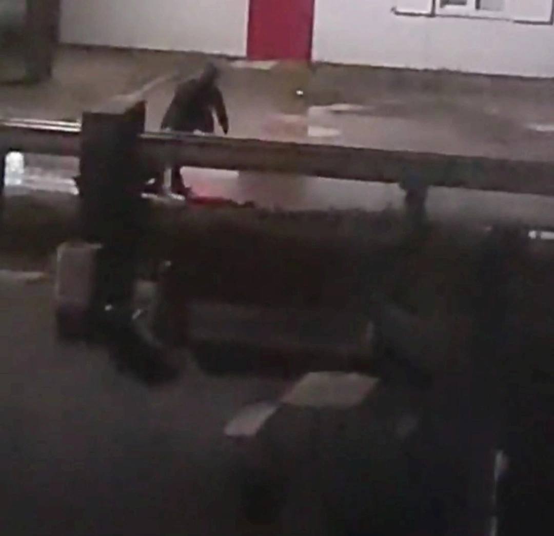 На Урале неизвестный жестоко расправился с собакой и выкинул ее в мусорку