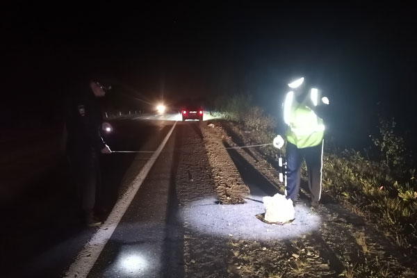 В Свердловской области на трассе неизвестный сбил 70-летнюю женщину-пешехода и скрылся с места ДТП