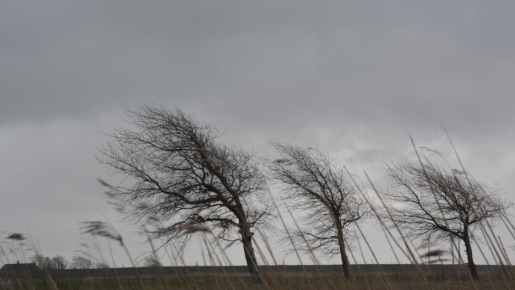От -7° до -39°: как придёт сильный мороз в Тюменской области | В Тюменской области ожидаются морозы до -39°
