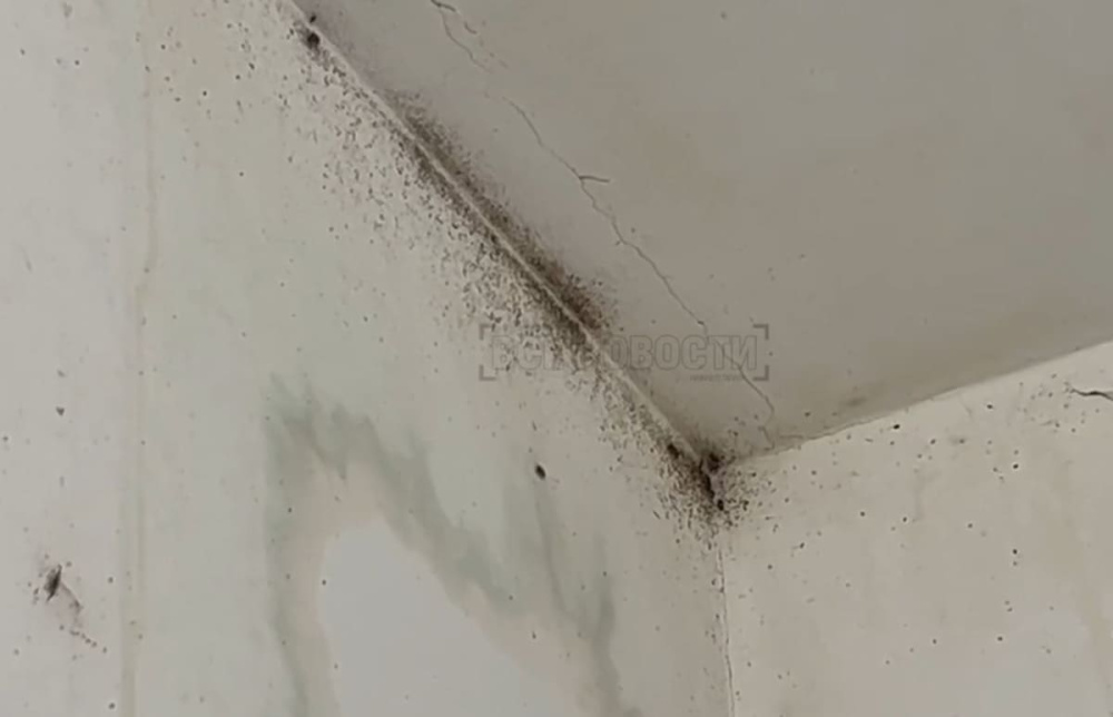 Тараканы, клопы и голый мужик с утюгом: новостройка в Нижнем Тагиле оказалась в заложниках у маргинальных соседей | В Нижнем Тагиле из-за одной квартиры страдает целый подъезд новостройки