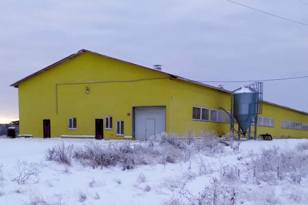 127 арестованных коров вместе с коровником