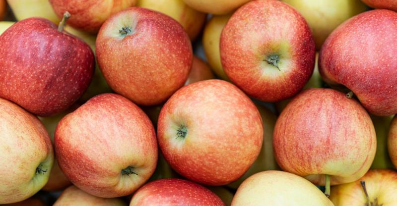 Нарушение фитосанитарных норм: поставщик ввез в Екатеринбург тонны яблок, не уведомив Россельхознадзор | В Екатеринбург ввезли 20 тонн яблок без уведомления Россельхознадзора