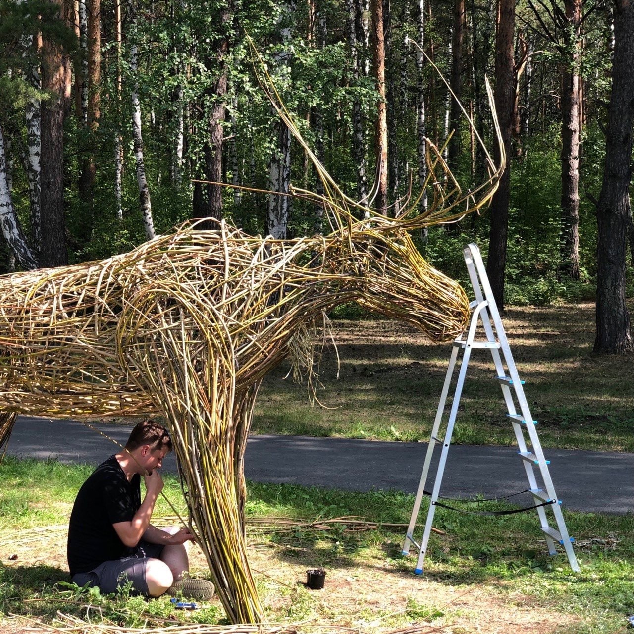 Новые арт-объекты появились в Гилевской роще в Тюмени