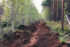 Пермские леса готовят к пожарам