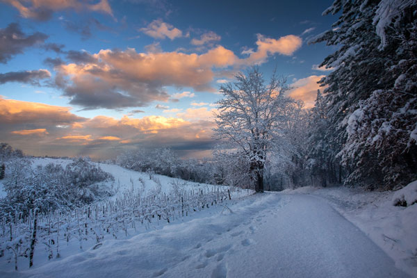 Потепление в Екатеринбурге будет недолгим: морозы вернутся уже на неделе | В Екатеринбург после краткого потепления снова придут сильные морозы Потепление в Екатеринбурге будет недолгим: морозы вернутся уже на неделе | В Екатеринбург после краткого потепления снова придут сильные морозы