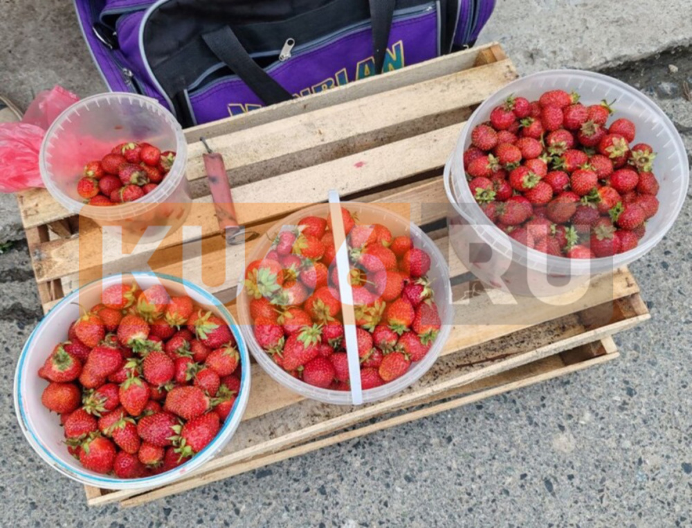 Стало известно, сколько ягод можно съедать без опаски  | Диетолог объяснила, сколько ягод можно съедать за один раз 