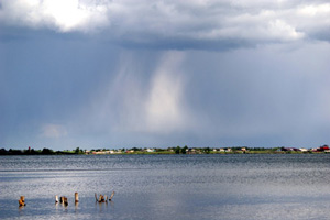 В Свердловской области утонули 73 человека