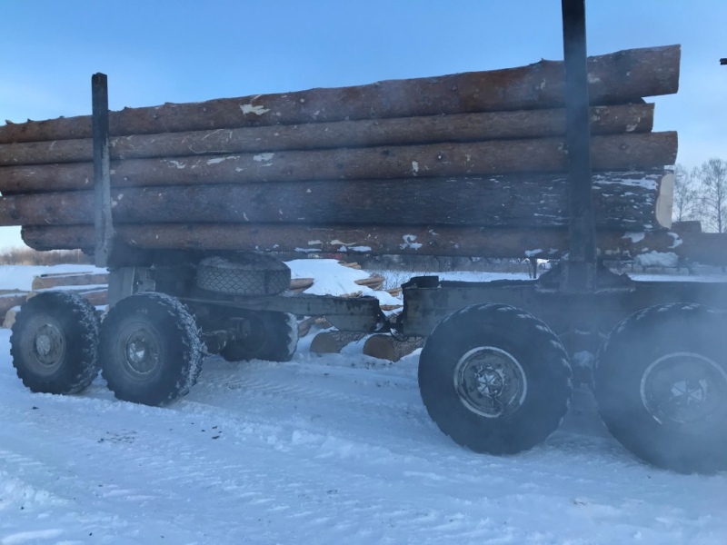 На Урале полицейские задержали «черного лесоруба», который незаконного нарубил деревья на 1 миллион рублей