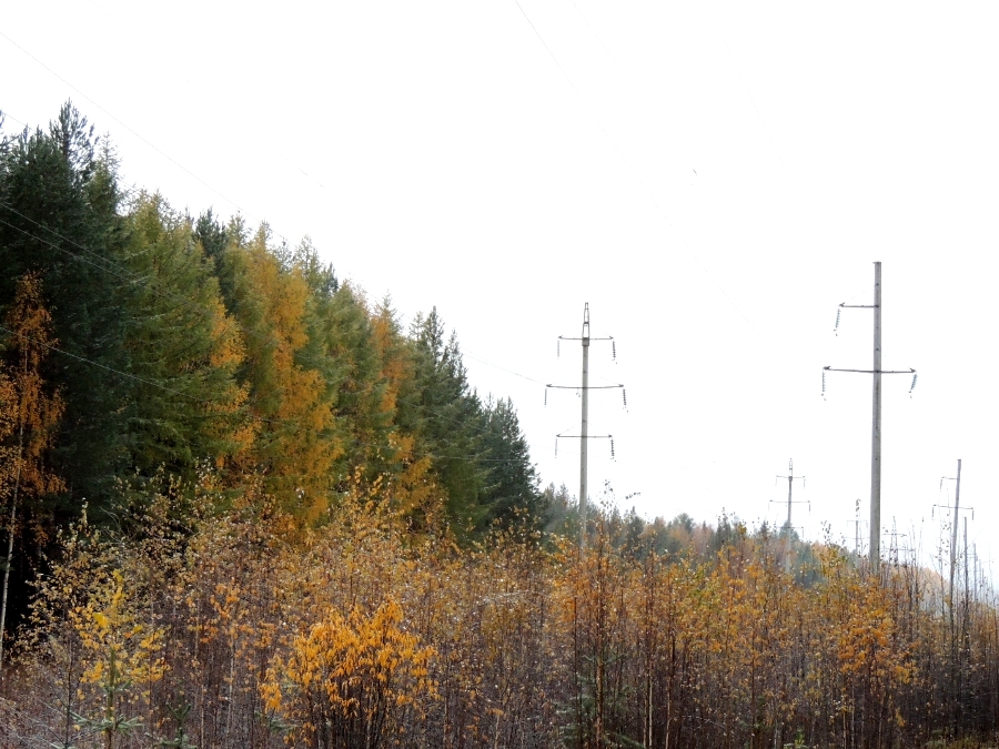 «МегаФон» соединил по ВОЛС север Свердловской области с ХМАО «МегаФон» соединил по ВОЛС север Свердловской области с ХМАО