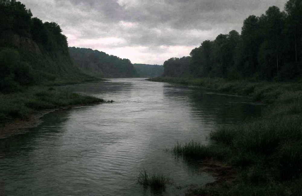 Нашли в камышах — девочка утонула в Челябинской области  | В Челябинской области утонула 10-летняя девочка 