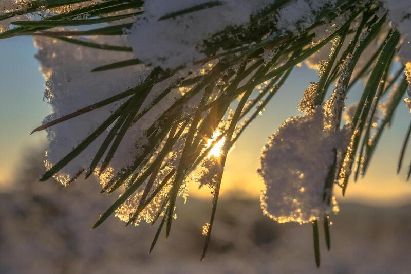 Всё теплее и теплее — климатолог объяснил, что будет дальше с погодой  | Климатолог Чернокульский назвал причину тёплой зимы 