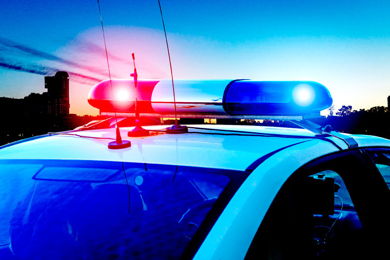 Нуждается в медицинской помощи — на Урале пропала 10-летняя девочка | В Свердловской области сотни людей ищут десятилетнюю Алису