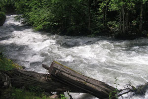 В горах Абхазии утонули российские туристы