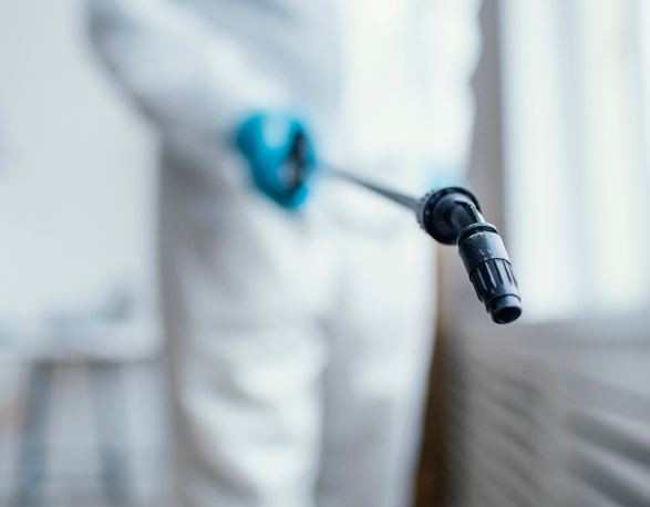 Болеют меньше — в Геленджике стало безопаснее отдыхать  | В Геленджике у уральцев стало меньше рисков заболеть 